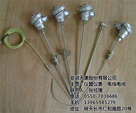 简易式热电偶 简易式热电偶生产商 天康集团股份 优质商家